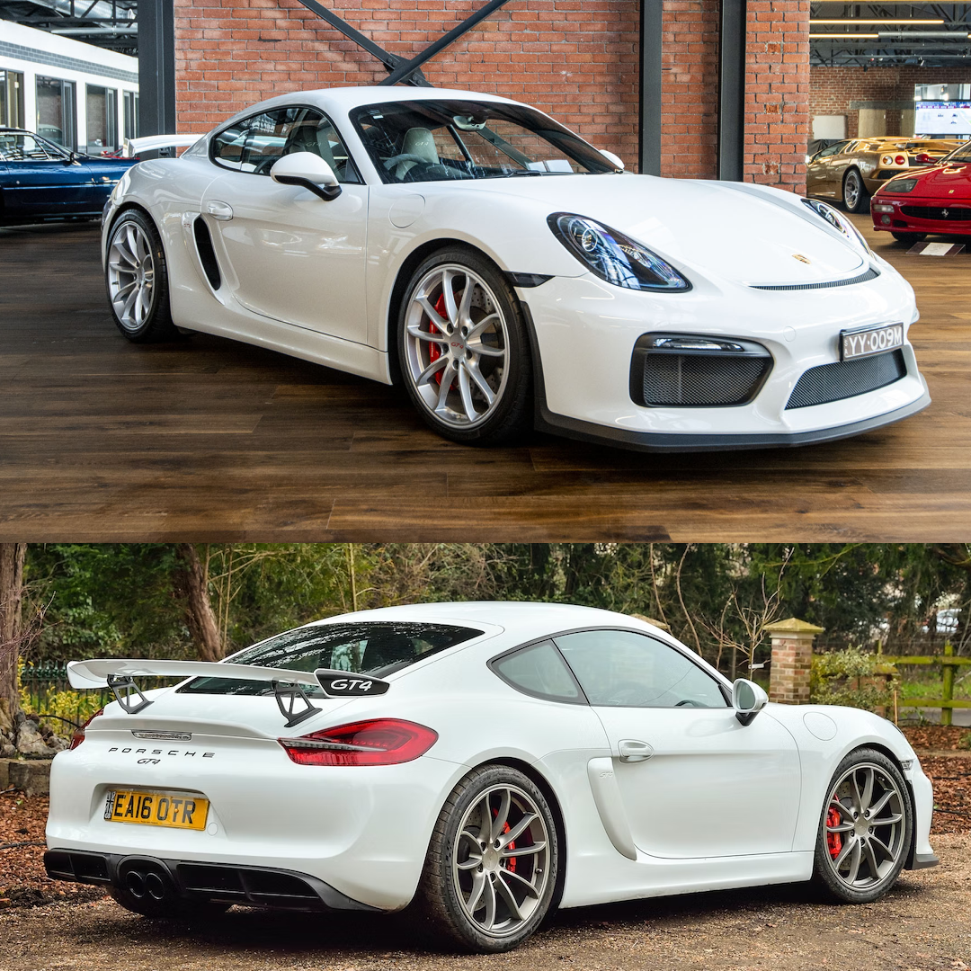 Porsche 981 Cayman GT4 Car Cover