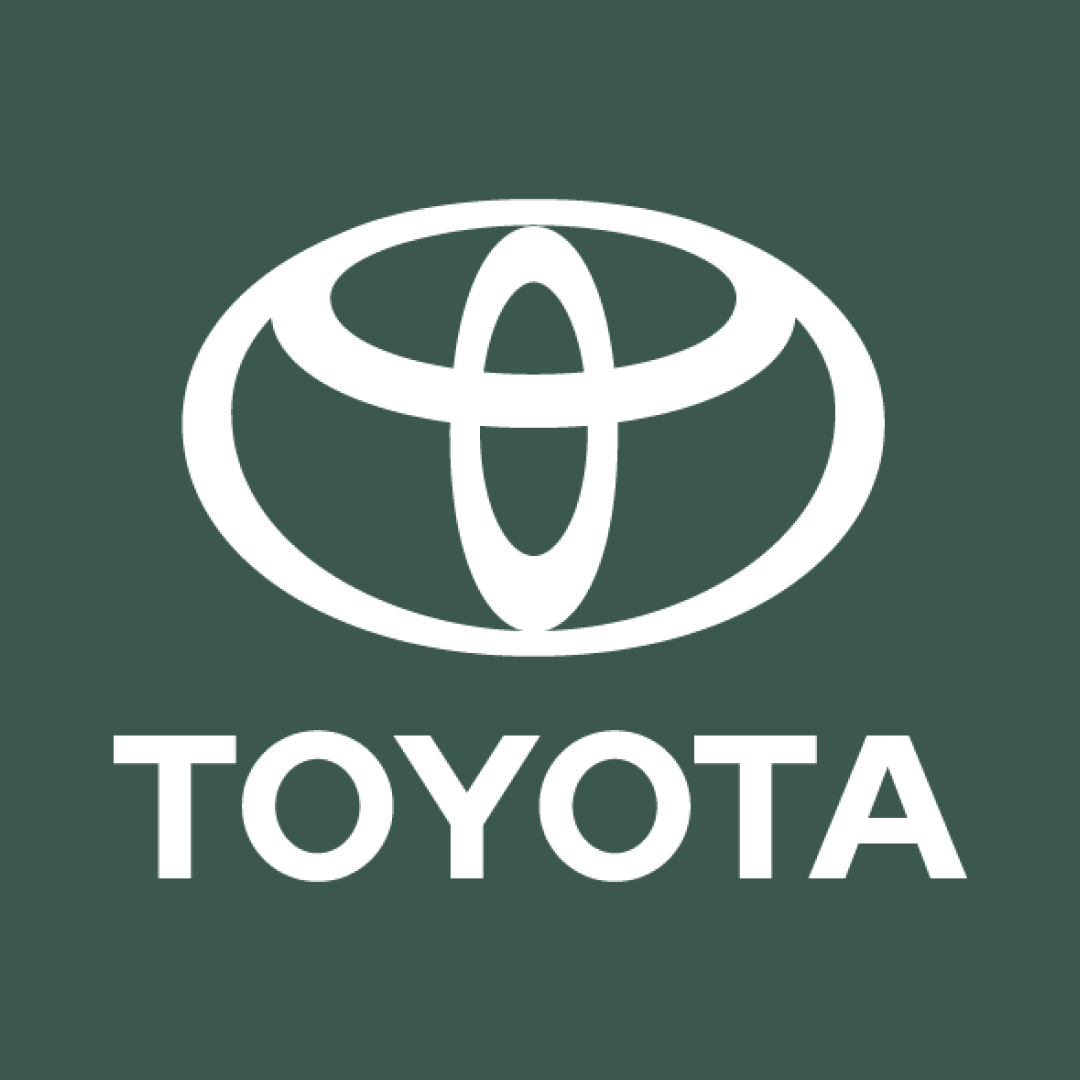 Toyota Alphard Car Cover