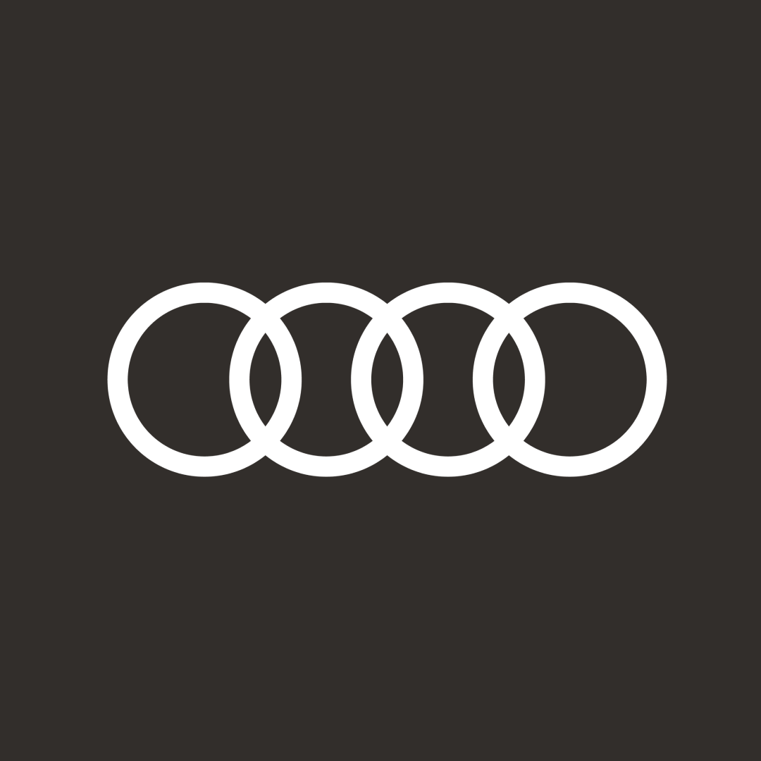 Audi RS e-tron GT Car Cover