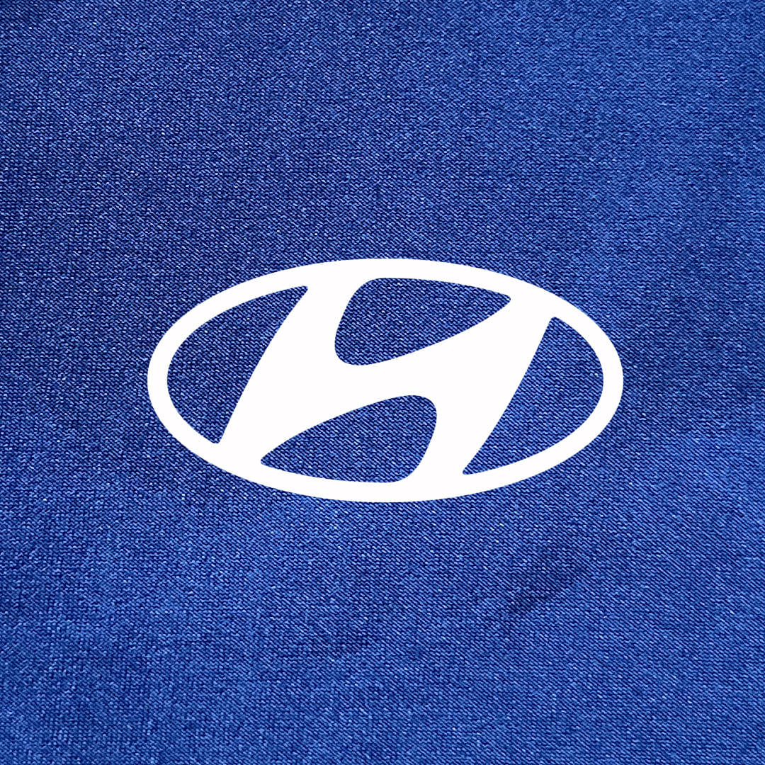 Hyundai Ioniq 6 Car Cover