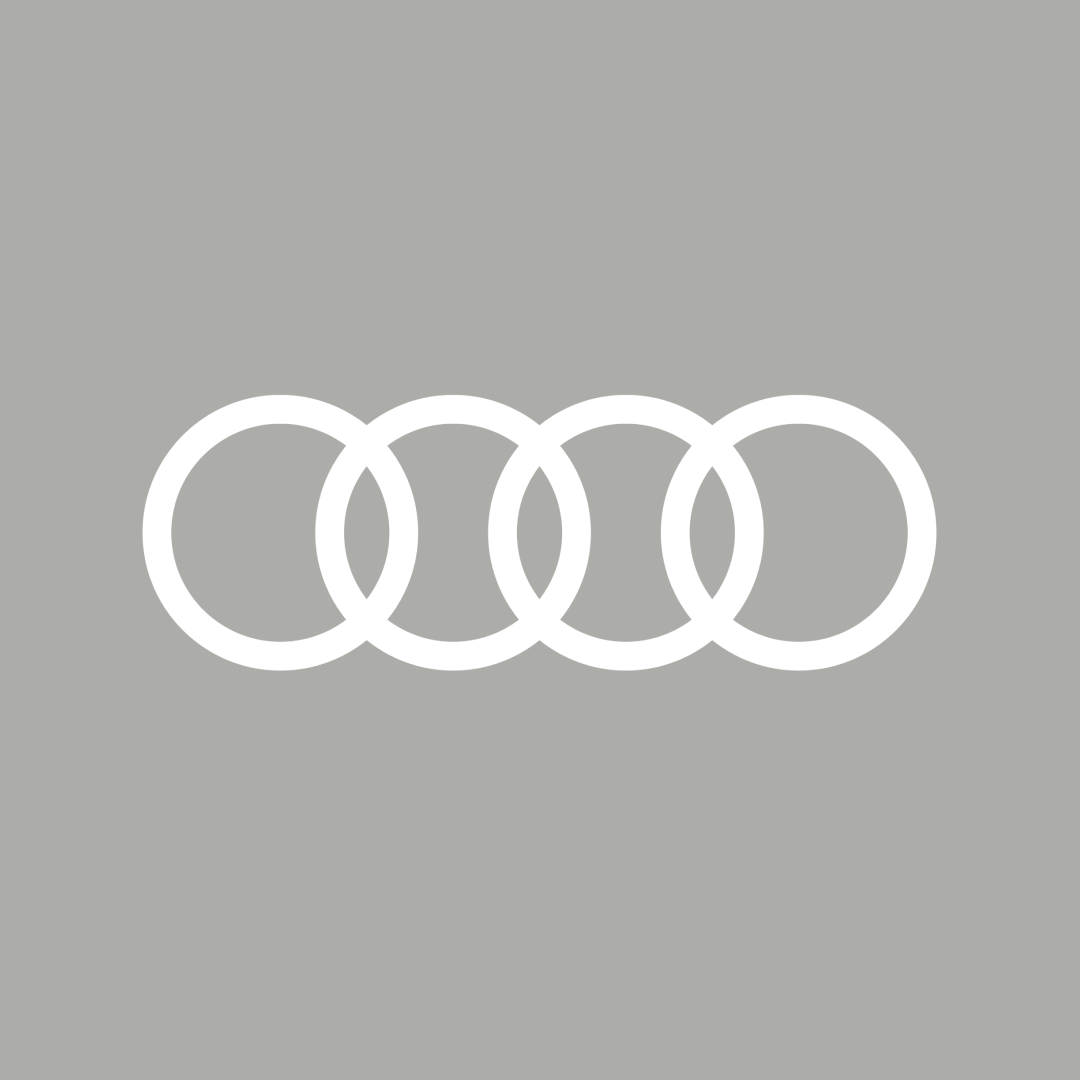 Audi RS e-tron GT Car Cover