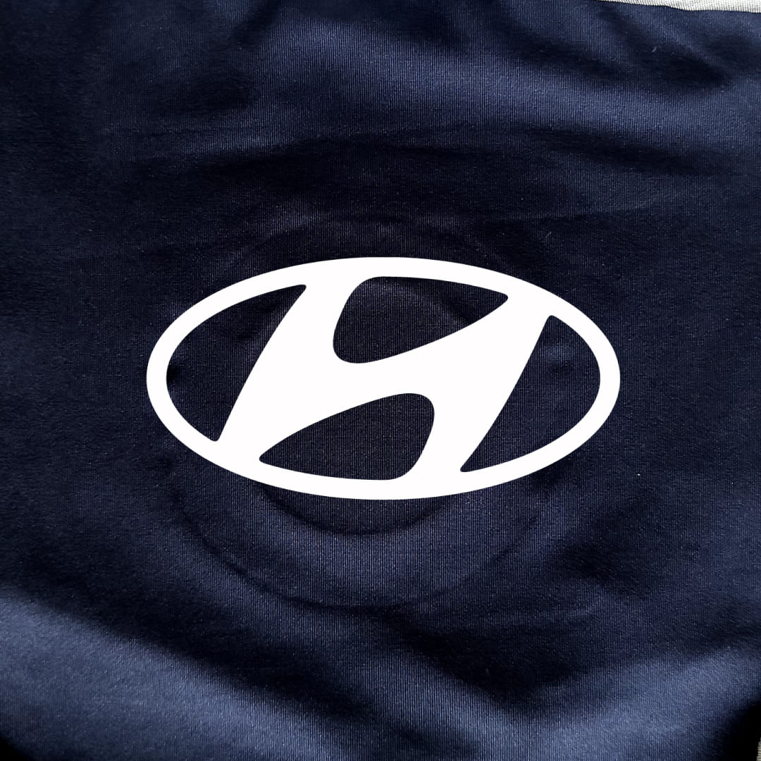 Hyundai Ioniq 6 Car Cover