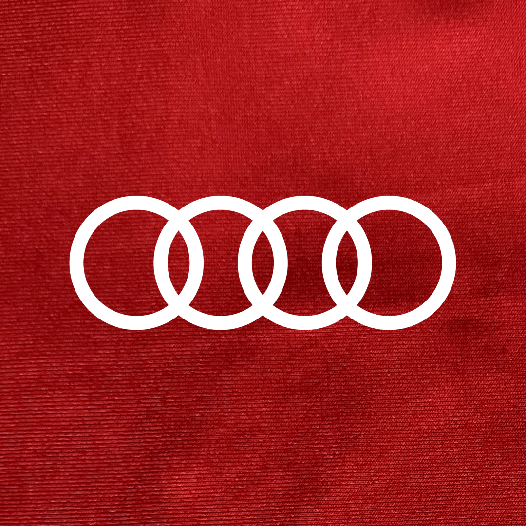Audi R8 (2nd gen) Car Cover