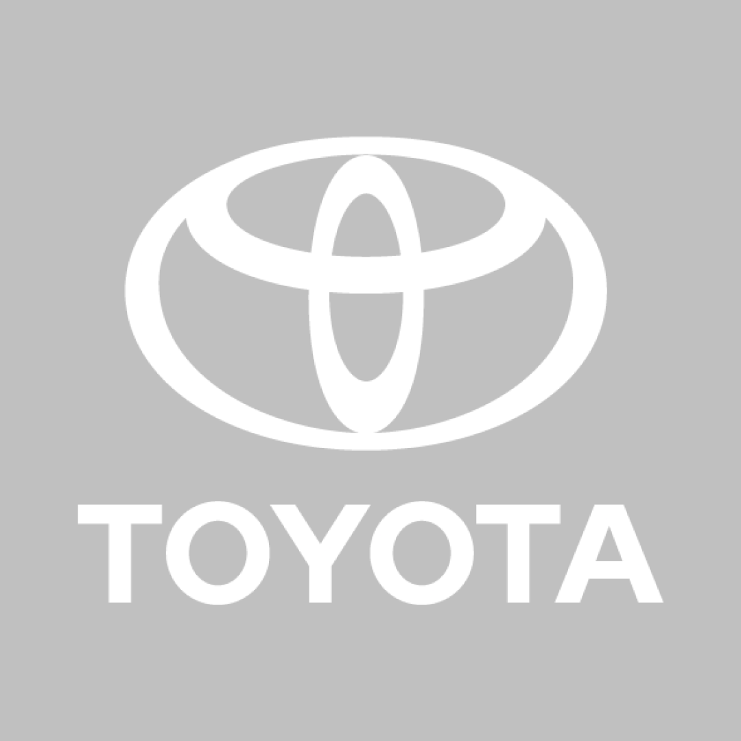 Toyota Alphard Car Cover