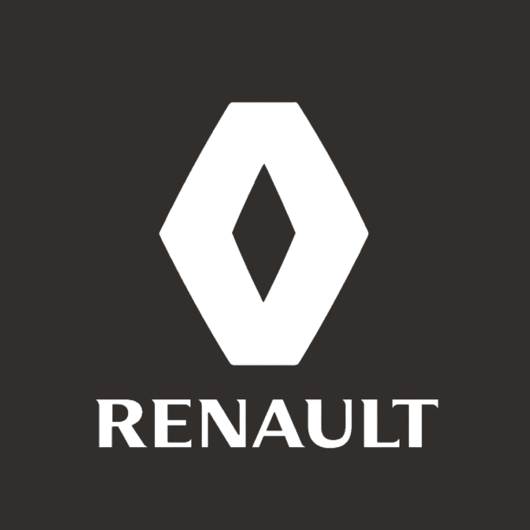 Renault Megane RS 265 Cup Car Cover