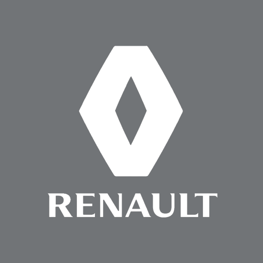 Renault Megane RS 265 Cup Car Cover