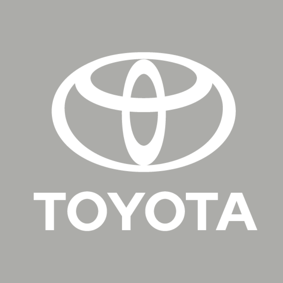 Toyota Vellfire Car Cover