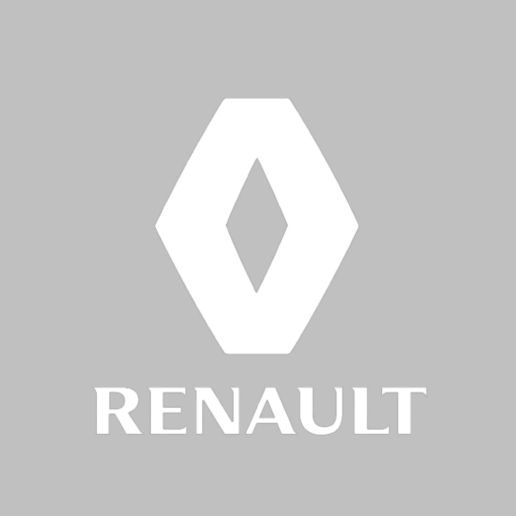 Renault Twizy Car Cover